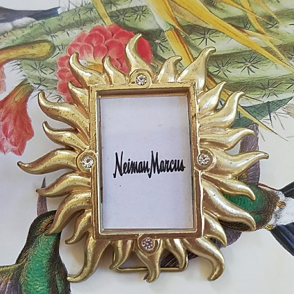 Picture brooch